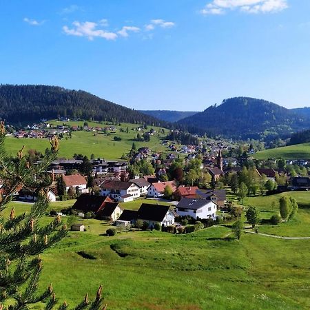 Ferienwohnung, Sauna & Gaestekarte Gratis Im Schwarzwald Baiersbronn Exterior foto